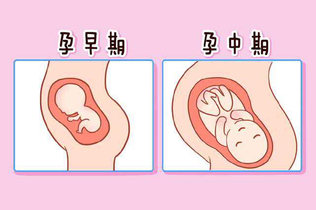 孕期33-34周:你需要了解的具体检查项目